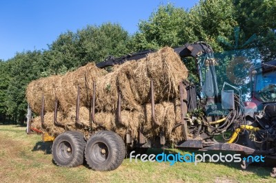 Agricultural Vehicle Filled With Round Hay Bales Stock Photo