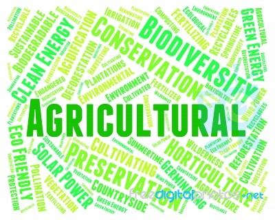 Agricultural Word Indicates Cultivation Words And Cultivates Stock Image