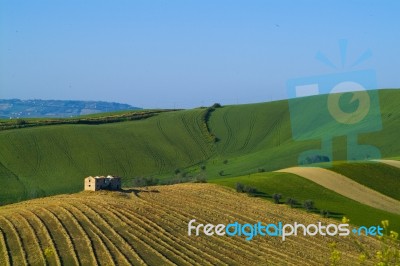 Agriculture Stock Photo