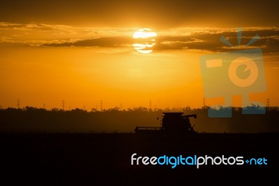 Agriculture Machine Harvesting Field Stock Photo