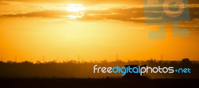 Agriculture Machine Harvesting Field Stock Photo