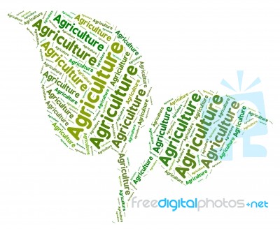 Agriculture Word Represents Cultivates Farming And Farm Stock Image