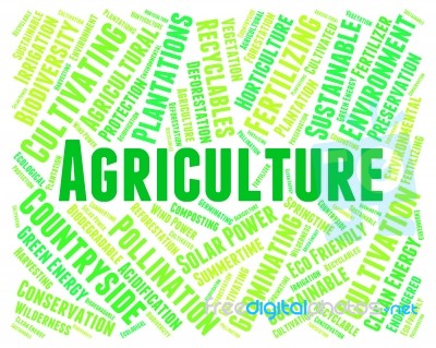 Agriculture Word Showing Cultivates Text And Farm Stock Image