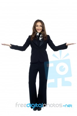 Air Hostess Welcoming The Passengers Stock Photo