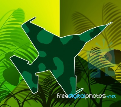 Airforce Plane Represents Jungle Warfare And Aircraft Stock Image