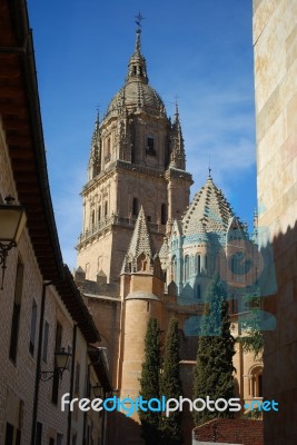 Alamanca Cathedral, Spain Stock Photo