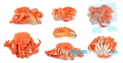 Alaskan King Crab In Isolated White Background Stock Photo