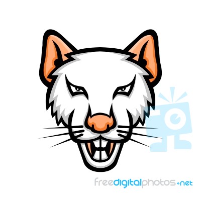 Albino Laboratory Mouse Mascot Stock Image