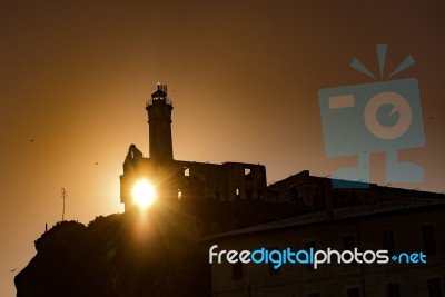 Alcatraz Stock Photo