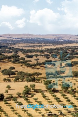 Alentejo Landscape Stock Photo