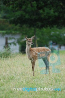 Alert Stock Photo