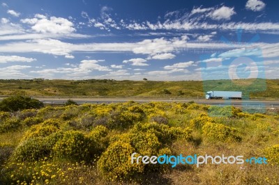 Algarve Countryside Hills With Yellow Bushes In Spring Stock Photo