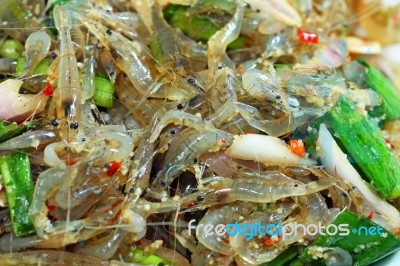 Alive Shrimp Salad Stock Photo