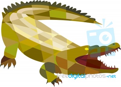 Alligator Crocodile Gaping Mouth Low Polygon Stock Image