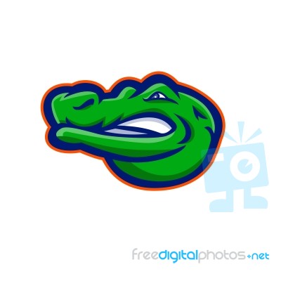 Alligator Head Mascot Stock Image