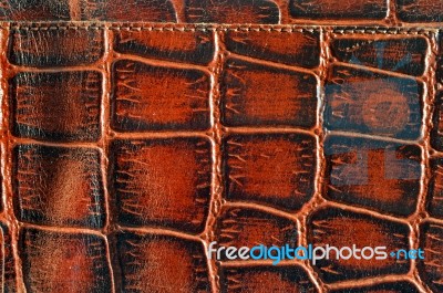 Alligator Leather Stock Photo