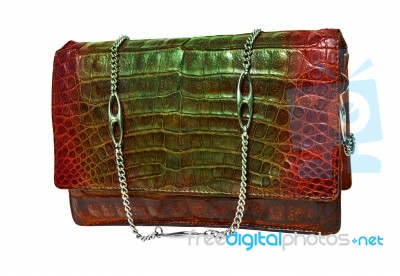 Alligator Leather Bag Stock Photo