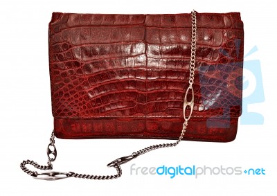 Alligator Leather Bag Stock Photo