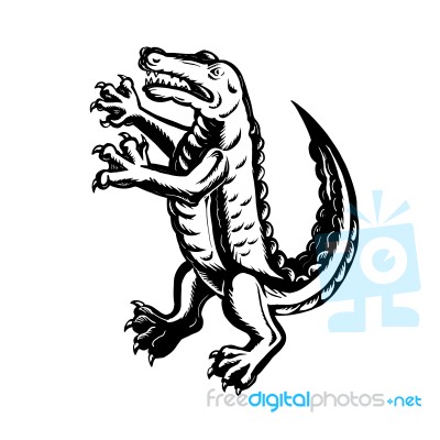 Alligator Standing Scraperboard Stock Image