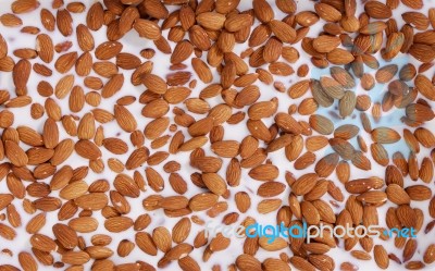 Almond And Milk Stock Photo