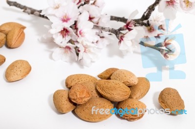 Almond Tree Branch And Almonds Stock Photo