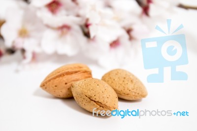 Almond Tree Branch And Almonds Stock Photo