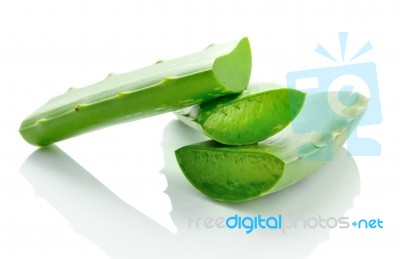 Aloe Vera Fresh Leaf. Isolated Over White Stock Photo