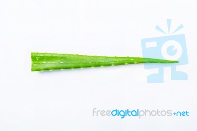 Aloe Vera Fresh Leaves Isolated On White Stock Photo