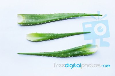 Aloe Vera Fresh Leaves On White Stock Photo