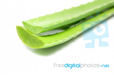 Aloe Vera Leaves Isolated Stock Photo