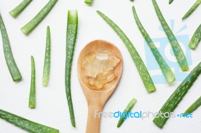 Aloe Vera  On White Background Stock Photo