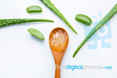 Aloe Vera On White Background Stock Photo