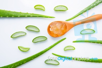 Aloe Vera On White Background Stock Photo