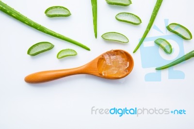 Aloe Vera On White Background Stock Photo