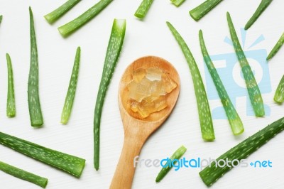 Aloe Vera  On White Background Stock Photo