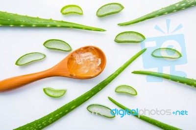 Aloe Vera On White Background Stock Photo