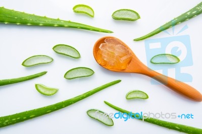 Aloe Vera On White Background Stock Photo