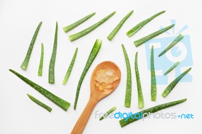 Aloe Vera  On White Background Stock Photo