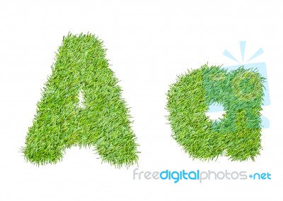 Alphabet From The Green Grass. Isolated On White Stock Photo