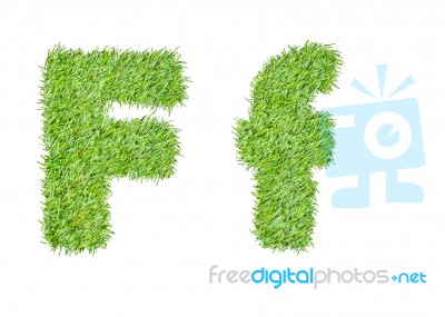 Alphabet From The Green Grass. Isolated On White Stock Photo