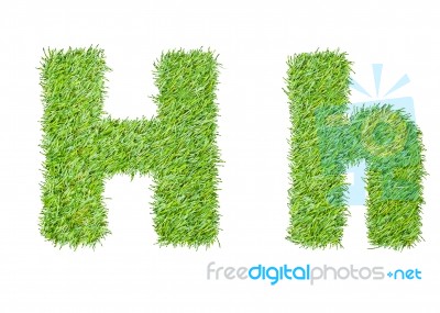 Alphabet From The Green Grass. Isolated On White Stock Photo