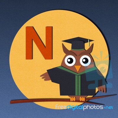 Alphabet N And Graduates Owl Stock Image