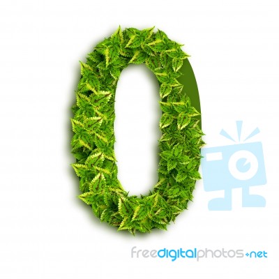 Alphabet Number 0 With Leaves Stock Photo