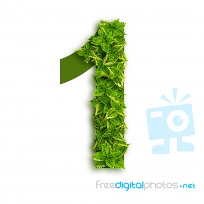 Alphabet Number 1 With Leaves Stock Photo