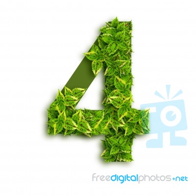 Alphabet Number 4 With Leaves Stock Photo