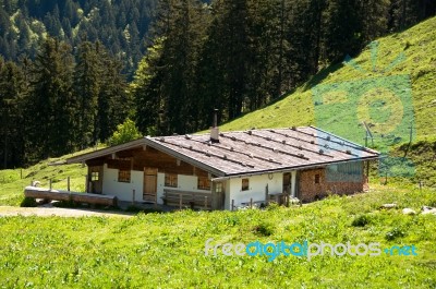 Alpine Pasture Stock Photo