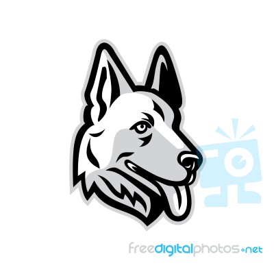 Alsatian Dog Mascot Stock Image