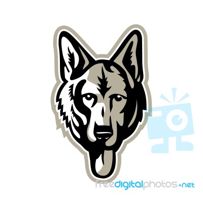 Alsatian Wolf Dog Head Mascot Stock Image