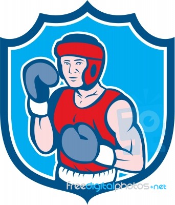 Amateur Boxer Stance Shield Cartoon Stock Image