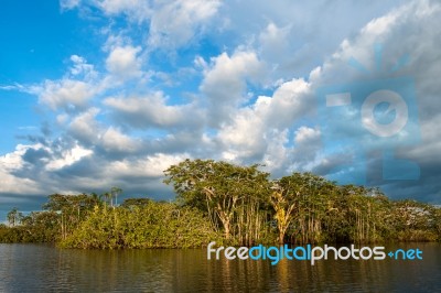 Amazonian Rainforest. Laguna Grande, National Park Cuyabeno. Ecu… Stock Photo